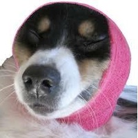 Happy Hoodie Pink 2 Pack