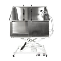 Stainless Steel Bath - Electric Lift - H107 Stainless Steel Bath - Electric Lift - H107